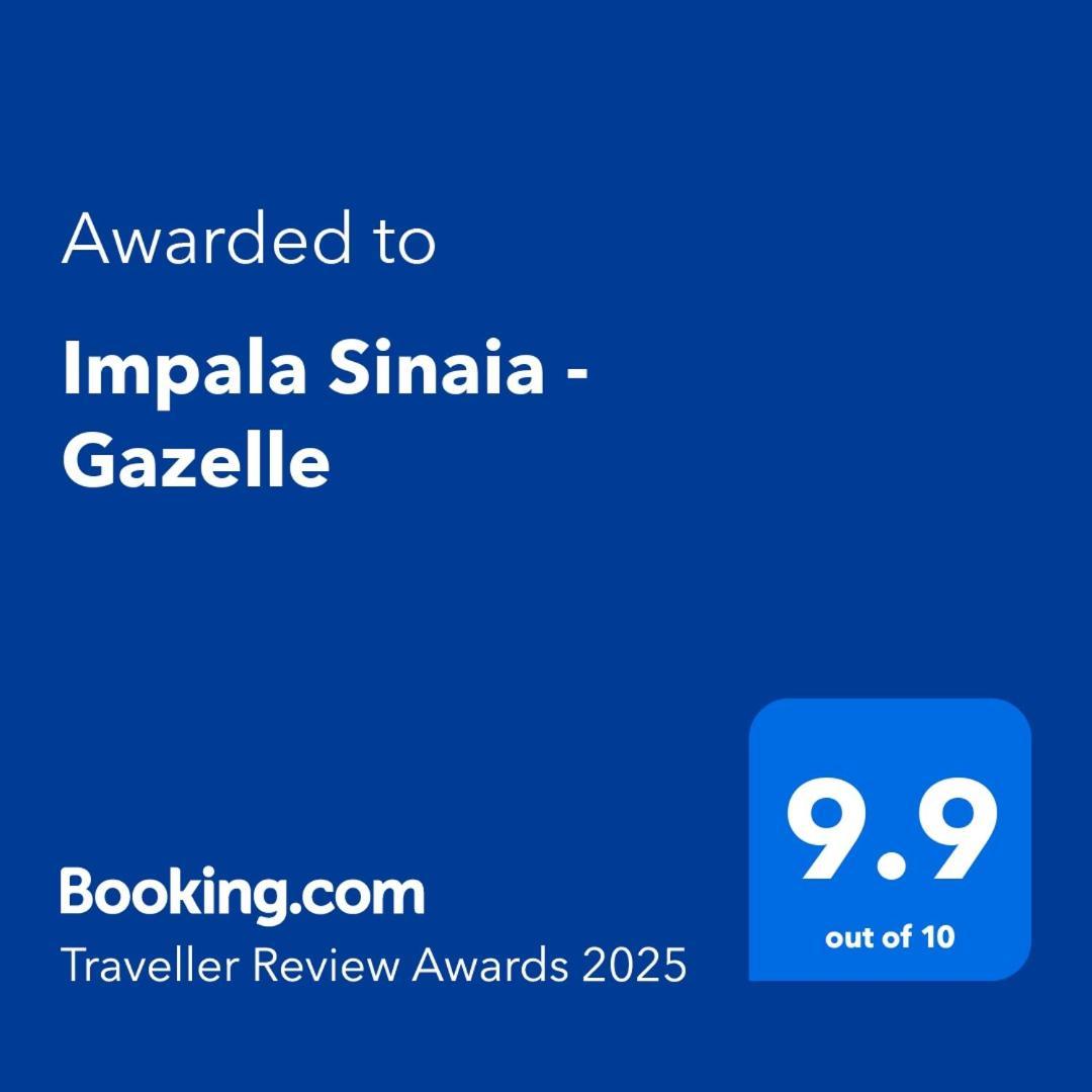 Апартаменты Impala Sinaia - Gazelle Экстерьер фото